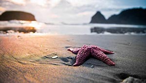 做自媒体须闯过的4道关